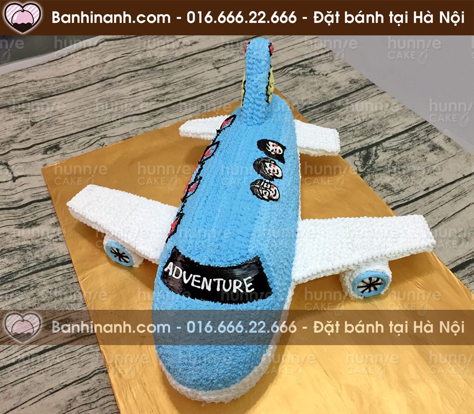 Bánh gato sinh nhật làm hình 3D máy bay chuyên cơ Boing chở khách tặng các bé 1033 - Bánh gato sinh nhật ngon đẹp
